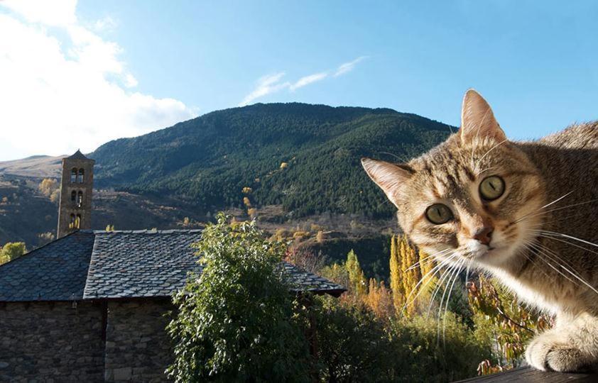 Casa Independiente Rural Ca De Corral Taull Luaran gambar